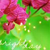 th_stock_flbog_001-1.png