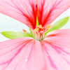th_stock_ger_021-1.png