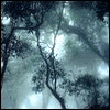 th_thOWYEAHJJ-1.gif