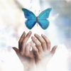 th_thbutterflydua-1.png