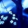 th_ththblue-1.jpg