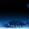 th_thwinternight-1.jpg