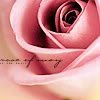 th_wildmusings_nature02-1.jpg