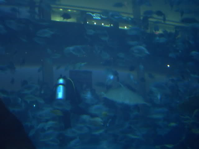 2h7163l-1.jpg