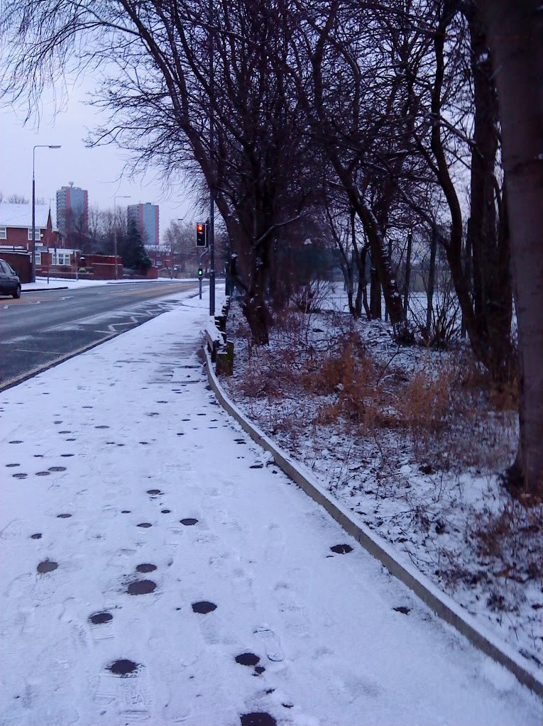 DSC00104-1.jpg