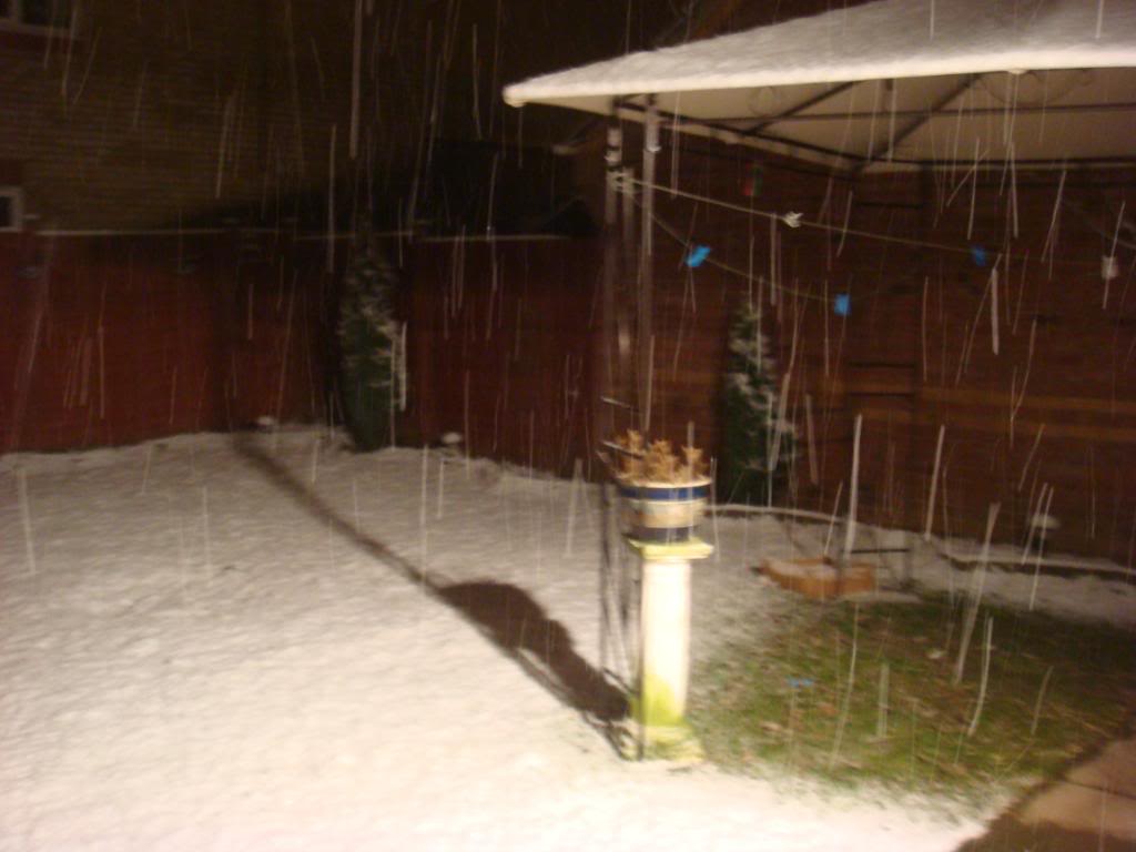 DSC02517-1.jpg