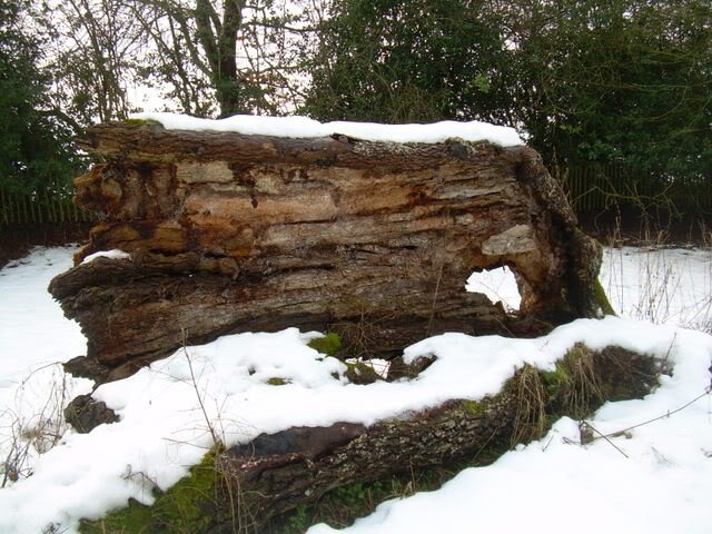 DSCN5755-1.jpg