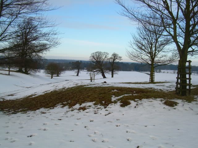 DSCN5761-1.jpg