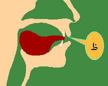 Dhaa-1.png