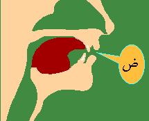 Dhaad-1.png
