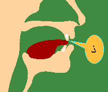 Dhaal-1.png