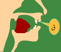 Qaaf-1.png