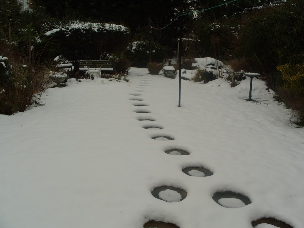 S1050034-1.jpg
