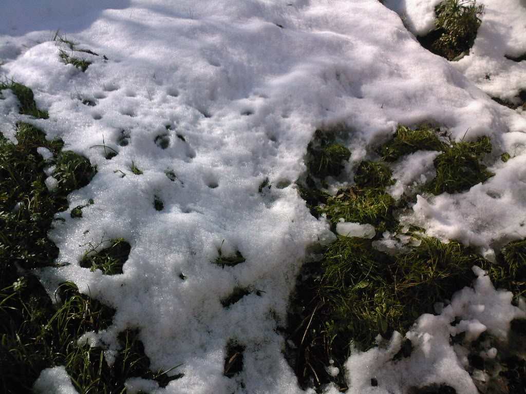 SP_A0326-1.jpg