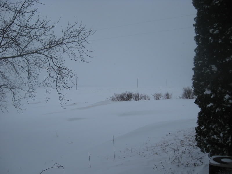 Snow001-1.jpg