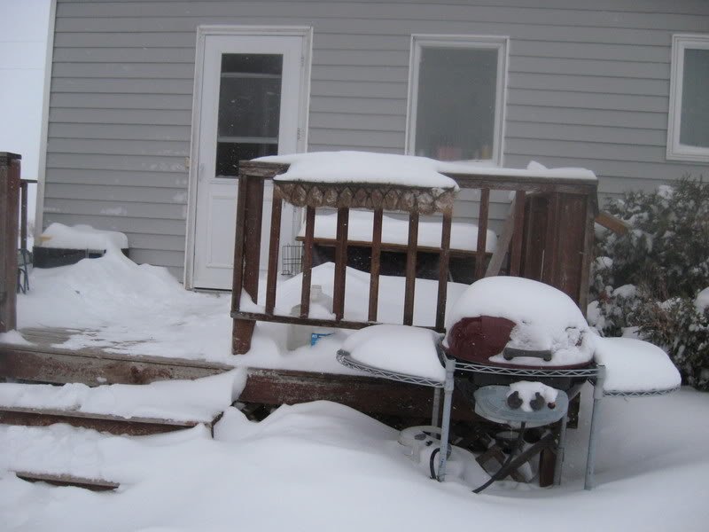 Snow002-1.jpg