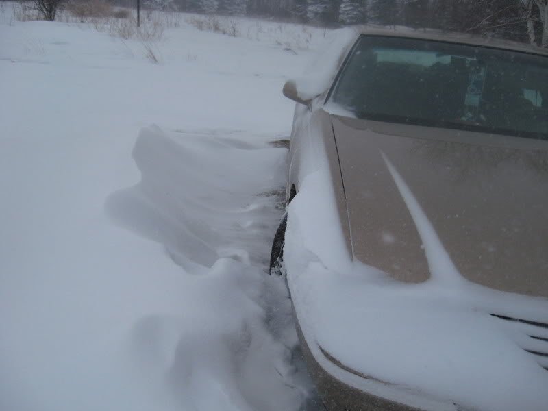 Snow006-1.jpg