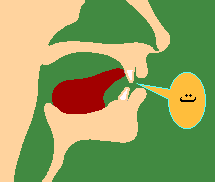 Taa-1.png