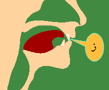 Zaay-1.png