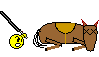 deadhorse-1.gif