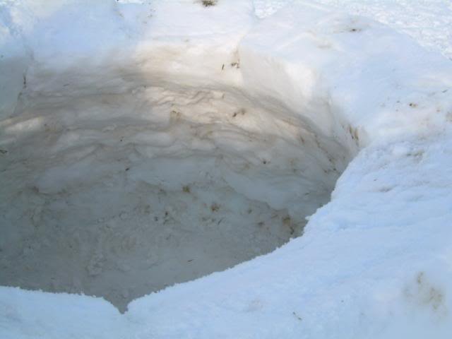 igloo010-1.jpg