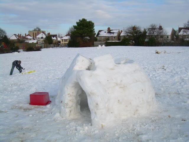 igloo011-1.jpg