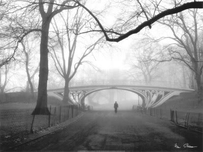 08271GothicBridgeCentralParkNew-1.jpg