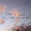 3277900431_d73211a8ce_m-1.jpg