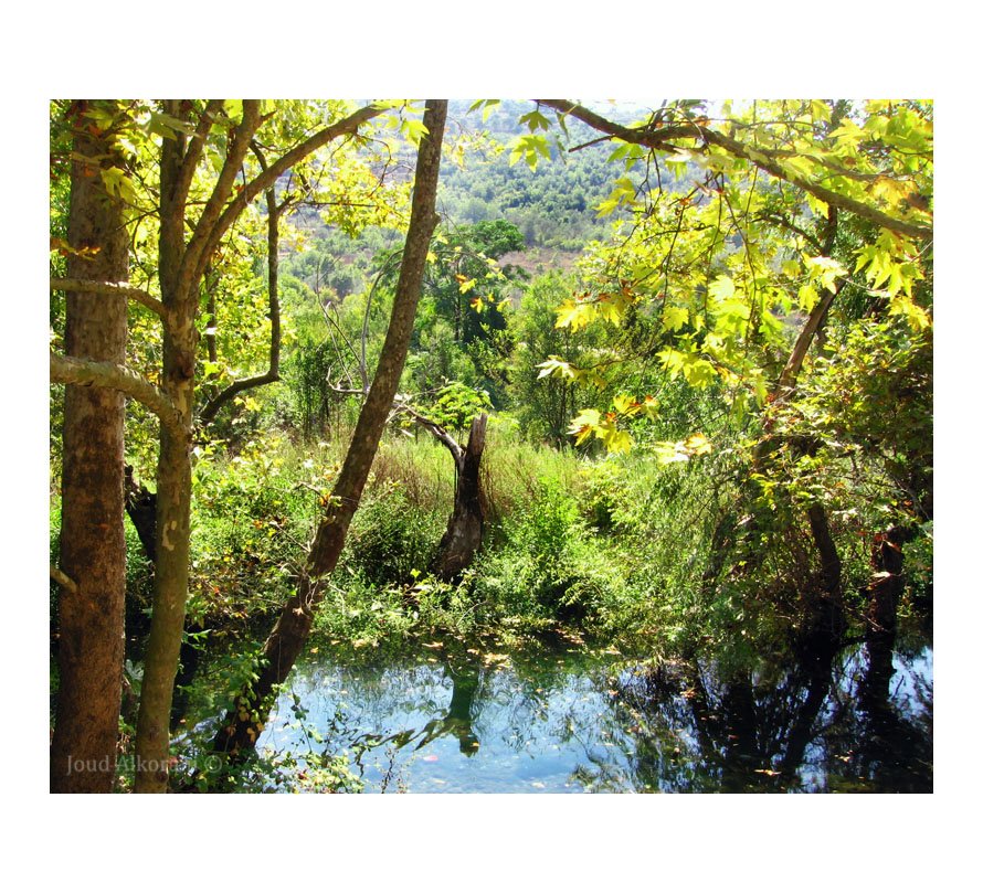 Nature_2_by_EnigmaticEntity-1.jpg