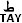 TAY-1.jpg