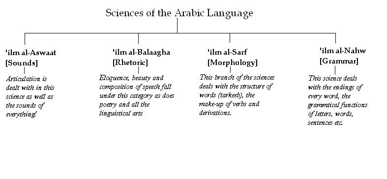 arabicsciences-1.jpg