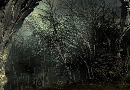 backgroundforest 1 - Haunted Images