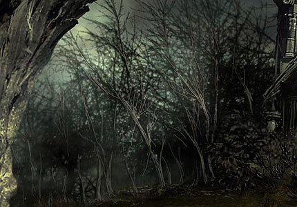 backgroundforest-1.jpg