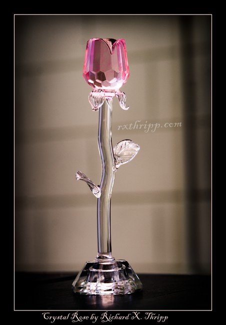 crystalrose-1.jpg