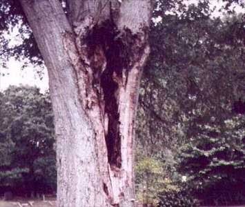 hantu212-1.jpg