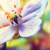 th_12877835-1.png