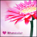 th_alhamduicon-1.png