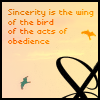 th_birdwingpng-1.png