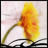 th_flowery-1.png
