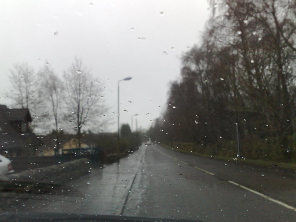 08032009038-1.jpg