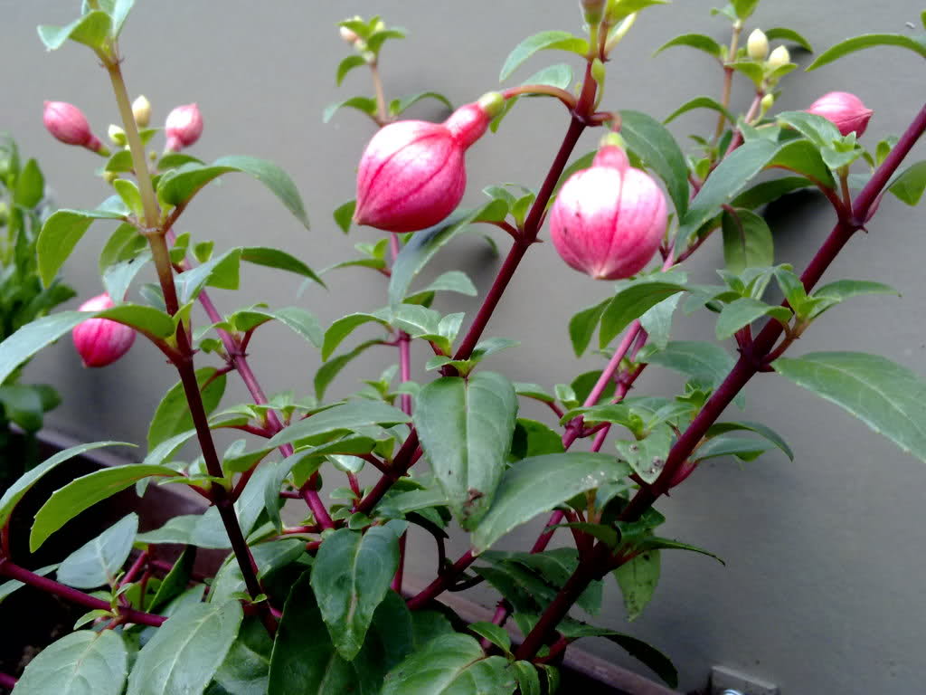 28qq41y-1.jpg