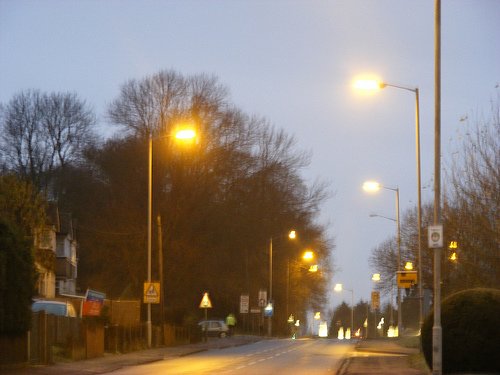 3116527122_acb3259184-1.jpg