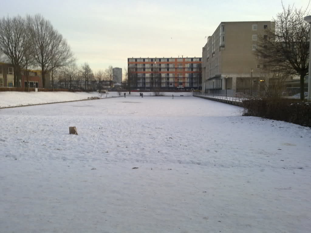9td3mg-1.jpg