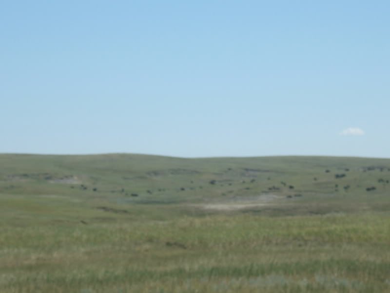 DSCF6628-1.jpg