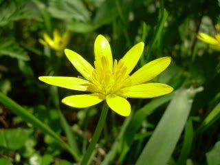 DSCN6064-1.jpg