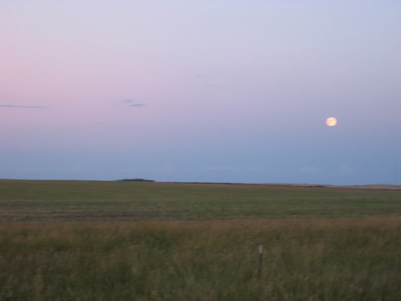IMG_0611-1.jpg