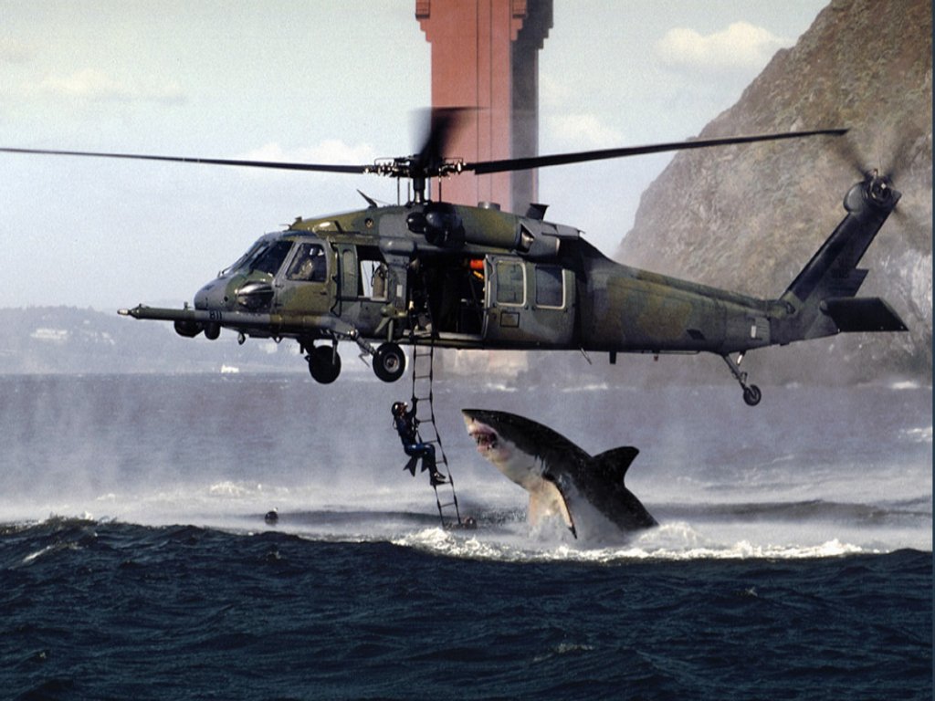 Shark_Attack_01-1.jpg