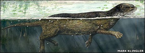 _45689960_sealpic466x170-1.jpg