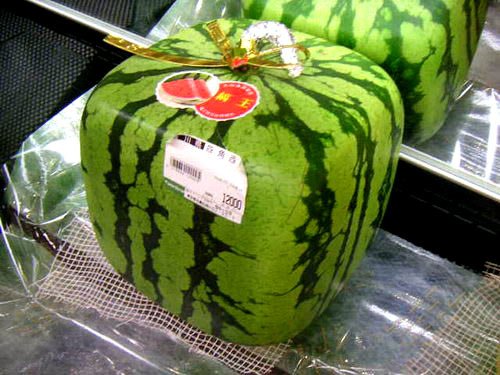 watermelon_2-1.jpg