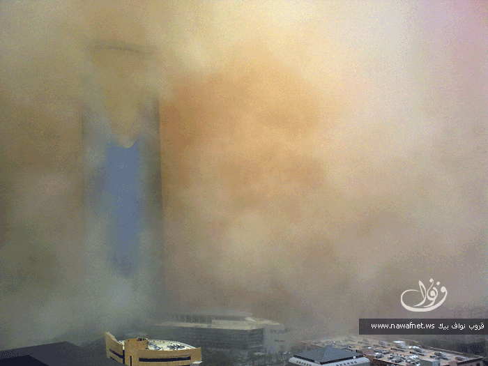 3645_p171518-1.gif